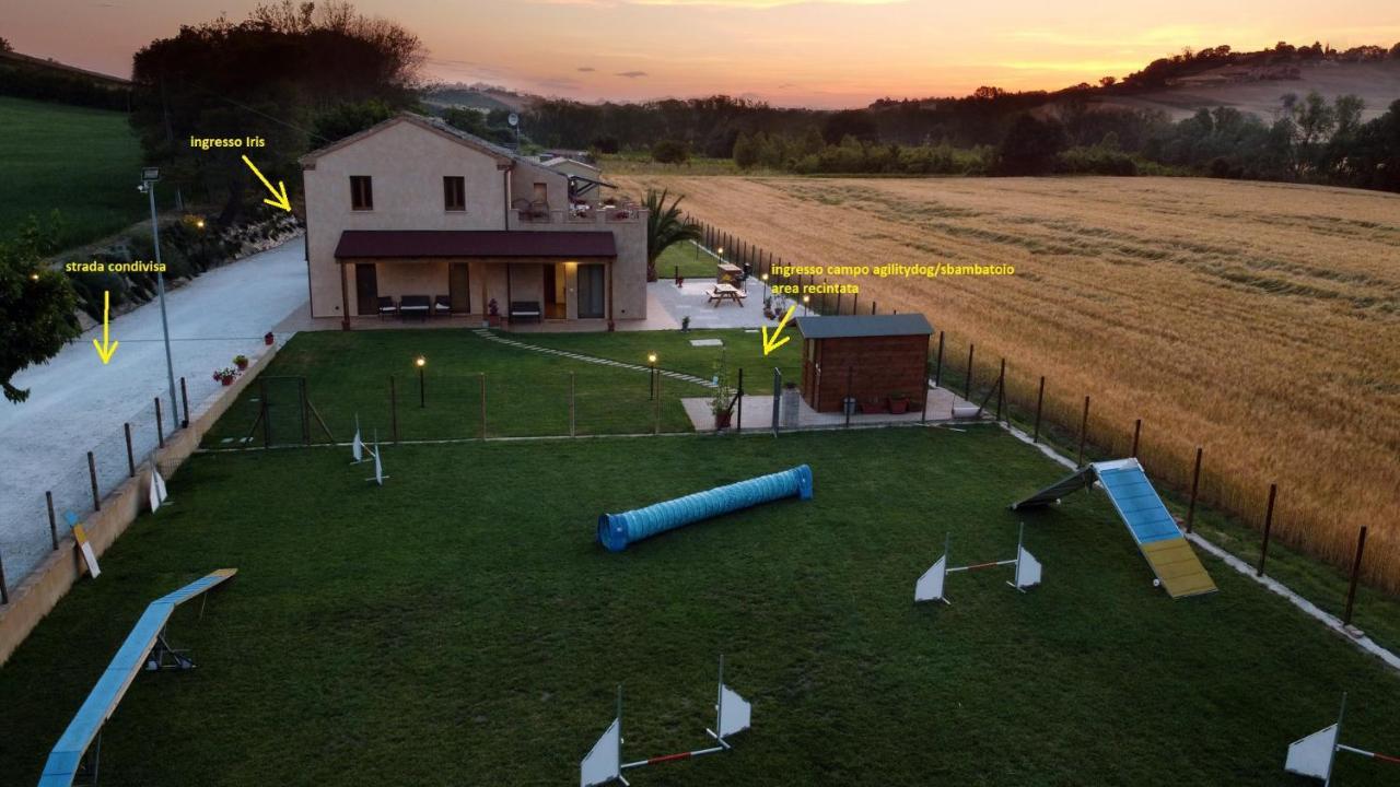 Casa Montefiore 13 Iris LT nella tranquilla campagna Marchigiana Ancona Esterno foto